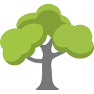 Clermont Tree Trimming
