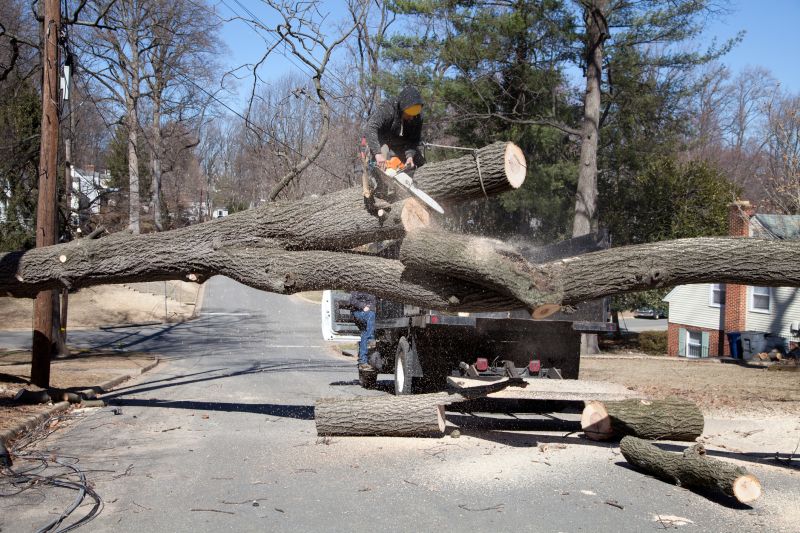 Fallen Tree on Commercial Property